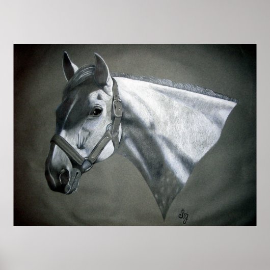 Poster Art équestre gris sur gris (Devant)