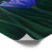 Poster *~ Art Femme assise Pick Flower Pond AP56 (Coin)