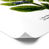 Poster Art Fleur sauvage anglais Imprimer no 8 Art botani (Coin)