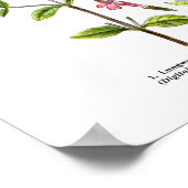 Poster Art Fleur sauvage anglais Imprimés n° 3 Art botani (Coin)