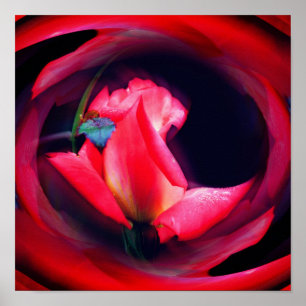 Poster Art floral abstrait Bouquet de rosebud rose