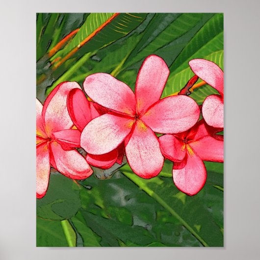 Poster Art Frangipanier Tropical Rose (Devant)
