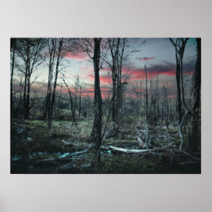 Poster Art gothique Marais forestier sombre