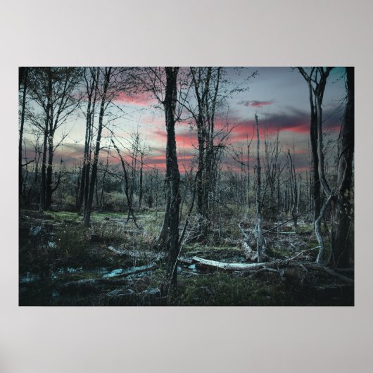 Poster Art gothique Marais forestier sombre (Devant)