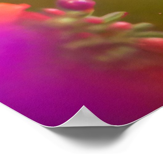 Poster Art Hummingbird (Coin)