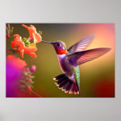 Poster Art Hummingbird (Devant)