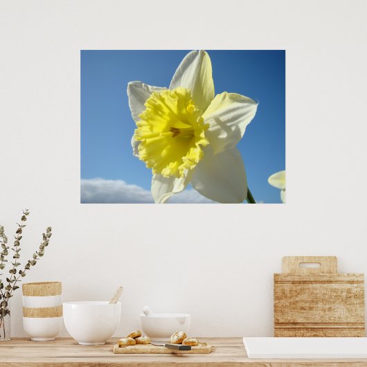 Poster ART IMPRIMANTES Daffodil Jaune Fleurs Toile (Cuisine)