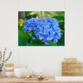 Poster Art Imprimer Cadeaux Blue Hydrangea Floral Garden (Cuisine)