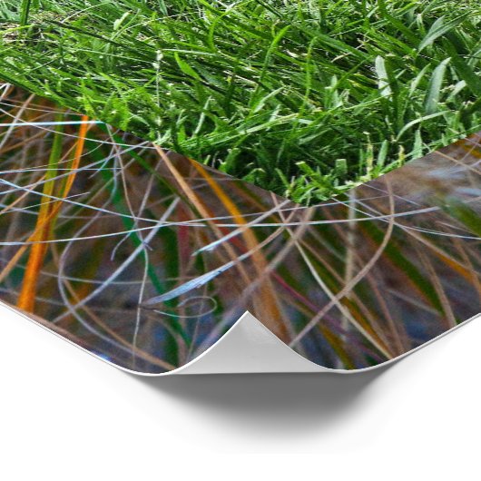 Poster Art lapin (Coin)