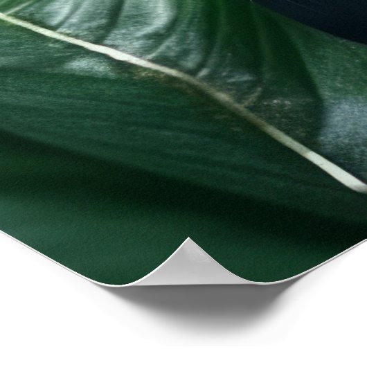 Poster Art Leopard (Coin)