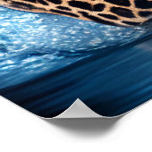 Poster Art Leopard (Coin)