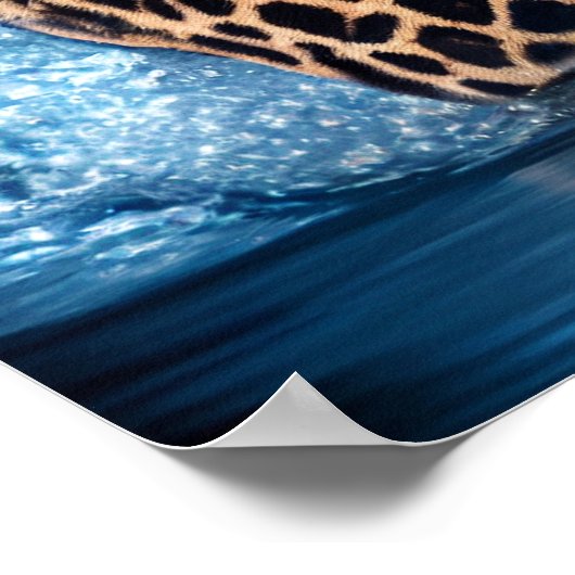 Poster Art Leopard (Coin)