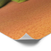 Poster Art Lizard de famille (Coin)