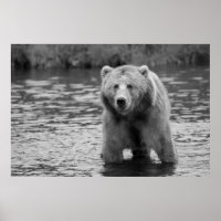 Art moderne de la forêt de l'ours grizzli noir et