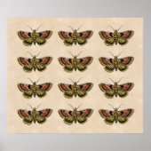 Poster Art Moth vintage (Devant)