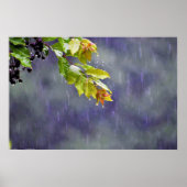 Poster Art mur (Devant)