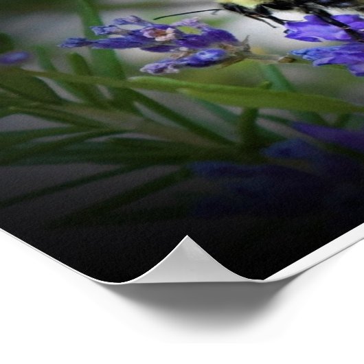 Poster Art mur (Coin)