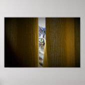 Poster Art mur (Devant)