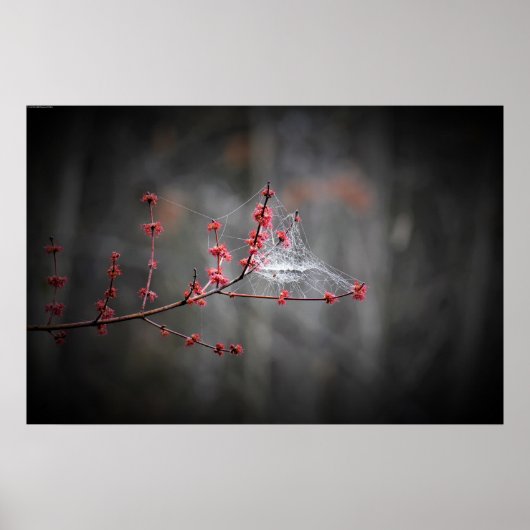 Poster Art mur (Devant)