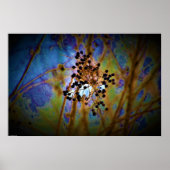 Poster Art mur (Devant)