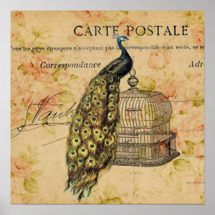 Poster art nouveau botanique vintage paon