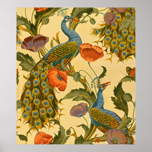 Poster Art Nouveau vintage 1896 Le Motif Peacock (Devant)