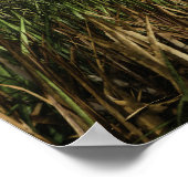 Poster Art numérique d'amour interdit (Coin)