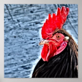 Poster Art numérique de coq (Devant)