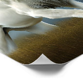 Poster Art numérique de lion blanc rugissant (Coin)