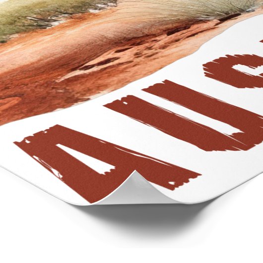 Poster Art numérique des éléments australiens (Coin)