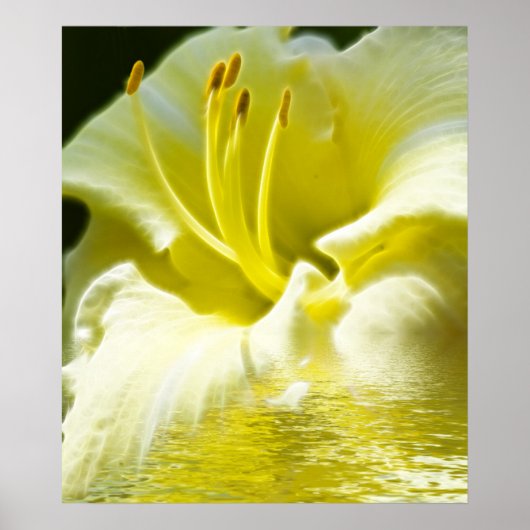 Poster Art numérique floral (Devant)
