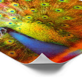Poster Art numérique Peacock (Coin)