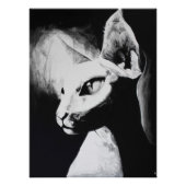 Poster Art original Sphynx Cat Feline noir & blanc (Devant)