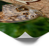 Poster Art papillon de monogramme initial personnalisé (Coin)