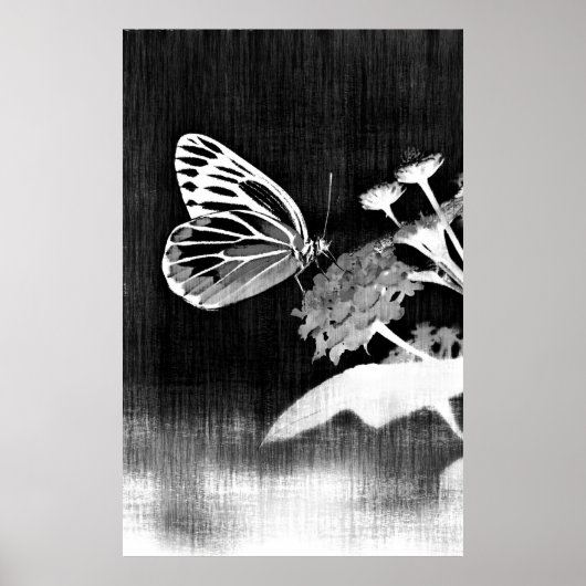 Poster Art papillon | Noir et blanc (Devant)