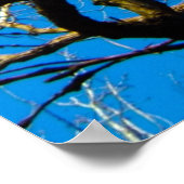 POSTER ART PHOTO NATUREL INSPIRATIONNEL (Coin)