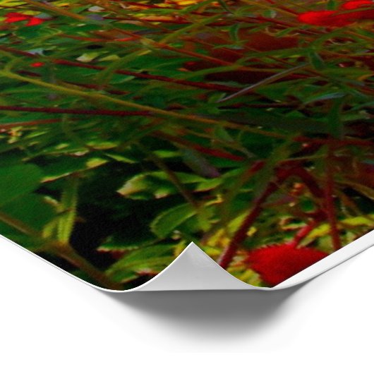 Poster Art photo original (Coin)