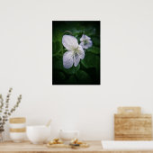 Poster Art photographique Fleur Violet sauvage Imprimer P (Cuisine)