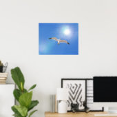 Poster Art photographique Sea Ocean Bird Sun (Bureau à domicile)