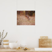 Poster Art photographique Wild Deer Buck de 8 points Impr (Cuisine)