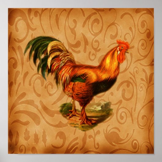 Poster Art pour la cuisine Coq rustique orné (Devant)