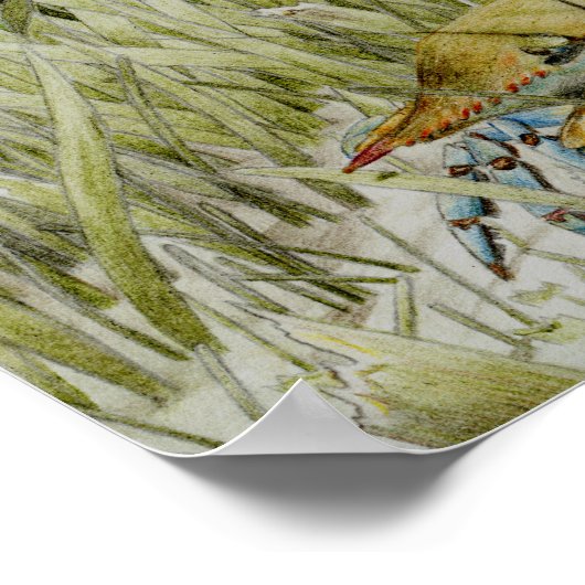 Poster Art primé par B. King 8e année (Coin)