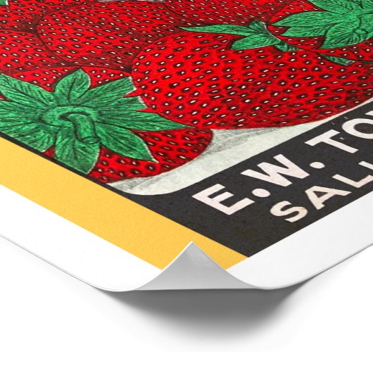 Poster ART Recyclé : CATALOGUE DES SEMENCES 1936 (Coin)