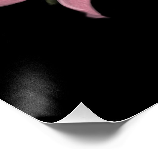 Poster Art rose (Coin)