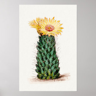 Poster Art Sketch Cactus Fleur Jaune