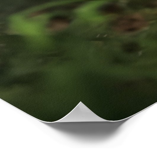 Poster Art Tiger (Coin)