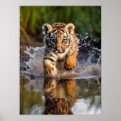 Poster Art Tiger Cub (Devant)