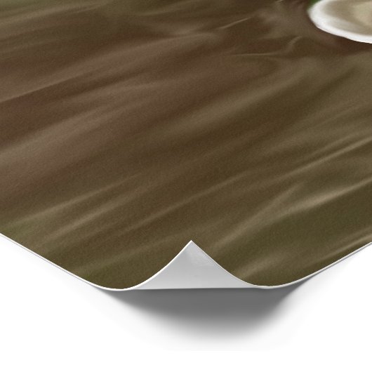 POSTER ART VÉGÉTABLE (Coin)