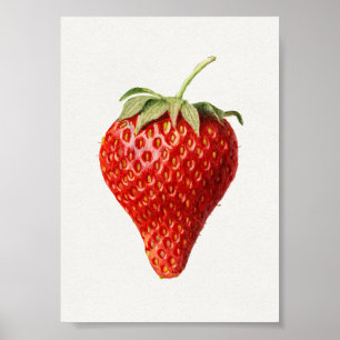 Poster Art Vintage aux fraises