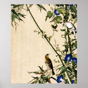 Poster Art vintage bambou et volubilis bleu matin